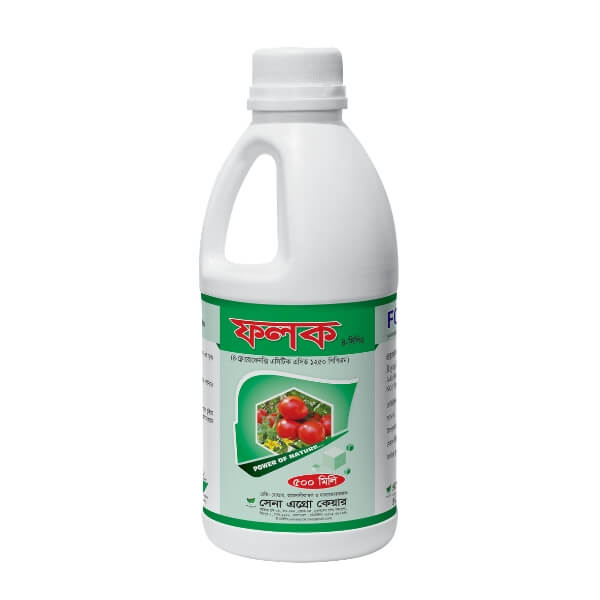 Phalok (ফলক)