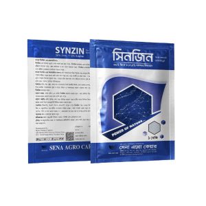 SYNZIN (সিনজিন)