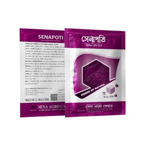 Senapoti (সেনাপতি)
