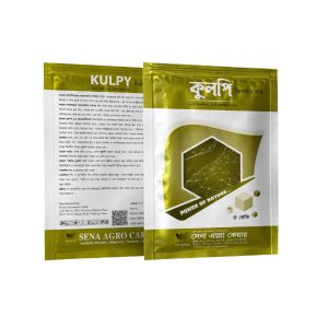 Kulpy (কুলপি)