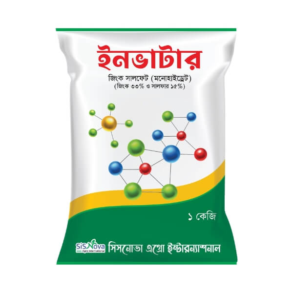 Inverter (ইনভার্টার)
