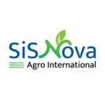 Sis Nova
